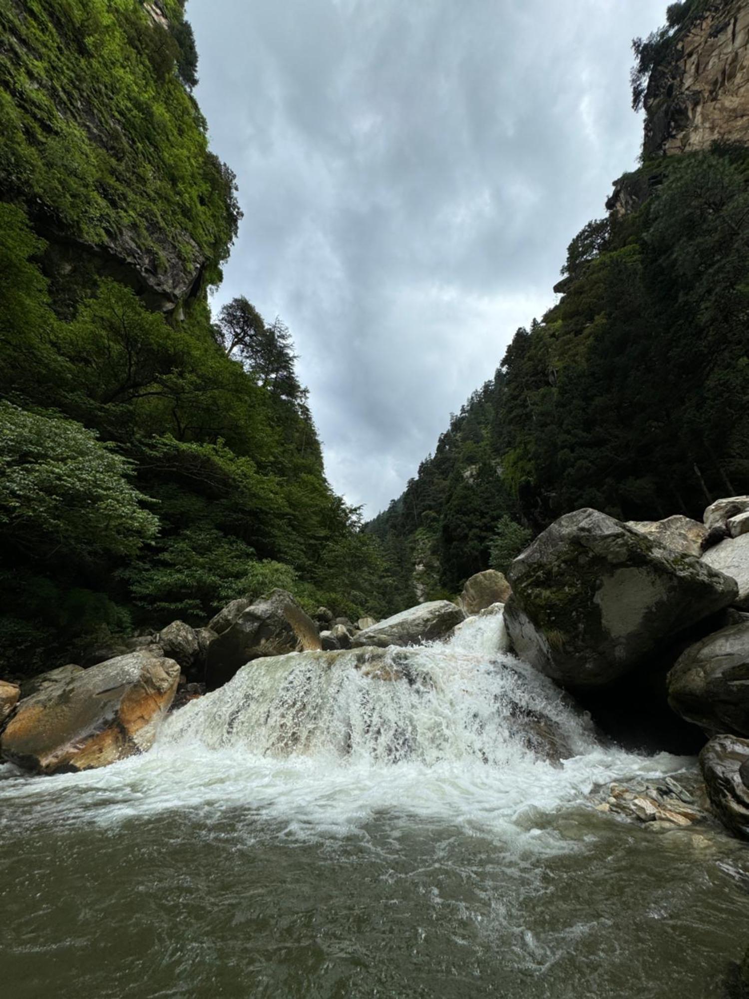 Delight Homestay Kasol Exterior photo